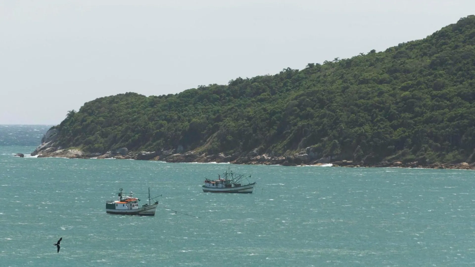 Vista Sem Igual Para O Mar Nos Ingleses Ing828 Florianopolis